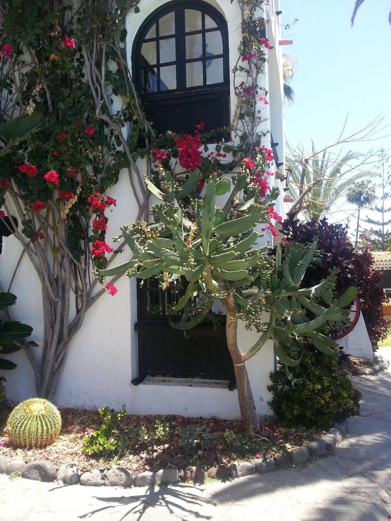 Apartamentos El Chaparral Playa del Inglés Esterno foto