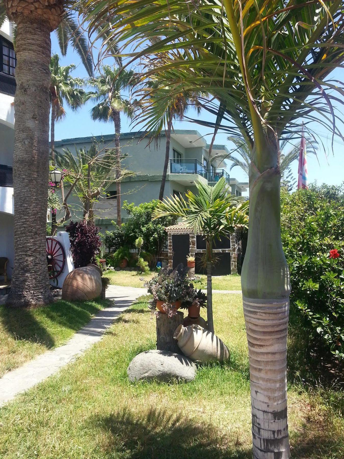 Apartamentos El Chaparral Playa del Inglés Esterno foto